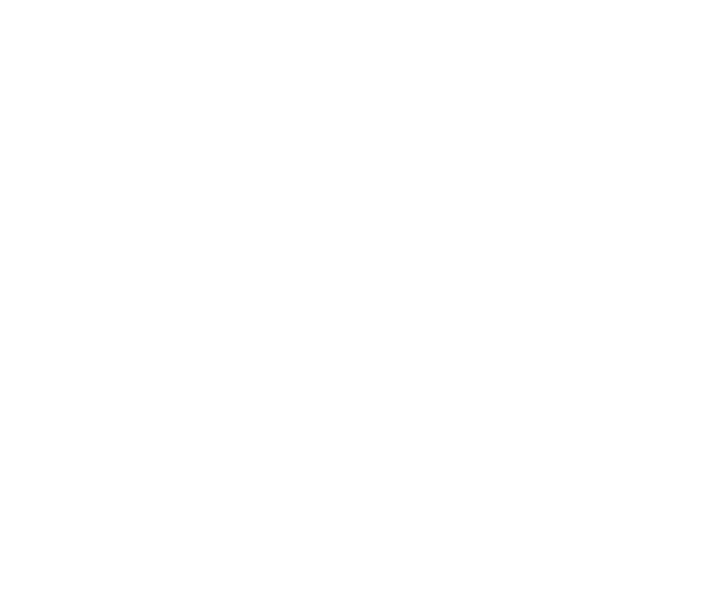 Linkedin icon